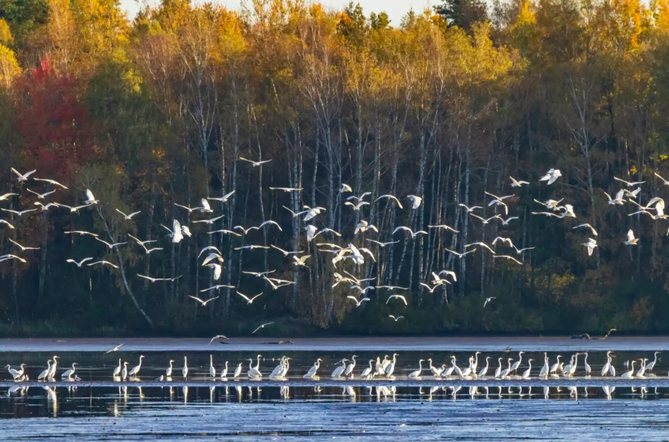 Třeboňsko – biosférická rezervace UNESCO, kudy z nudy