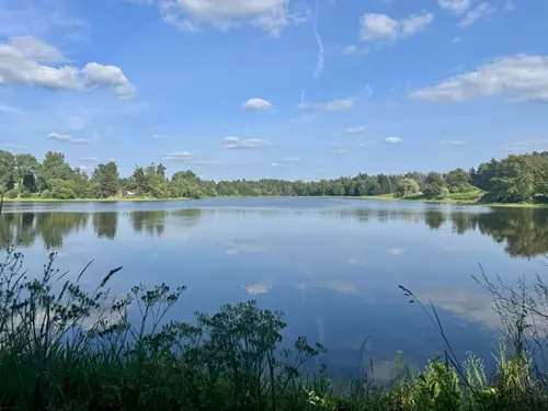 Rybník Pyšelák u Budišova