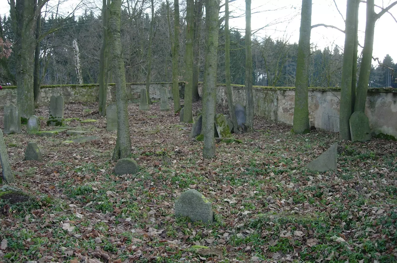 Židovský hřbitov v Lázních Kynžvart 