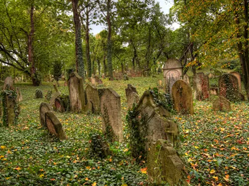 Židovský hrbitov