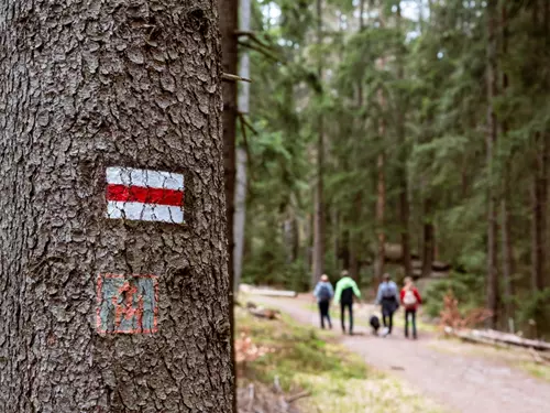 Běžky nebo pěšky, Kudy z nudy