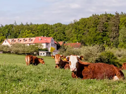 Eko farma, Kudy z nudy, dovolená na venkově