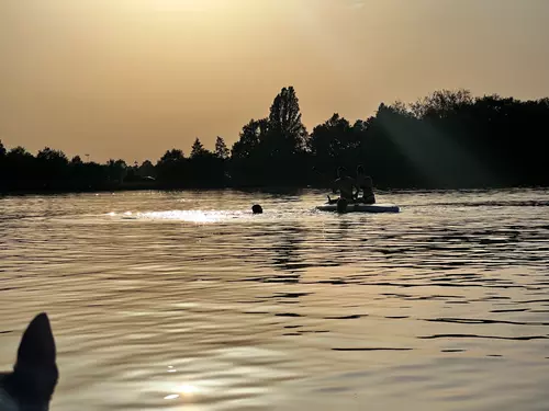 Paddleboard