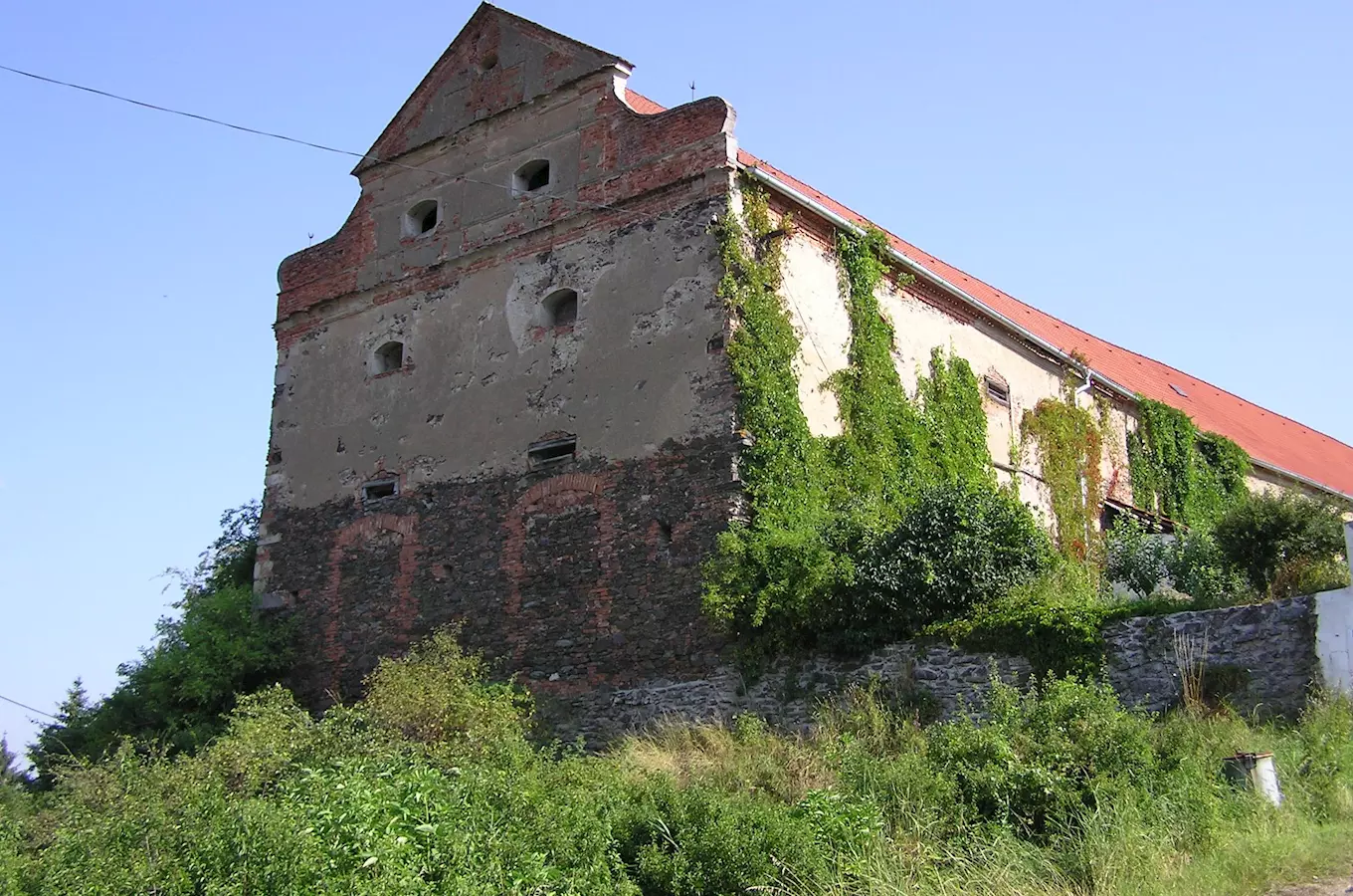 Zřícenina hradu Třebel u Černošína