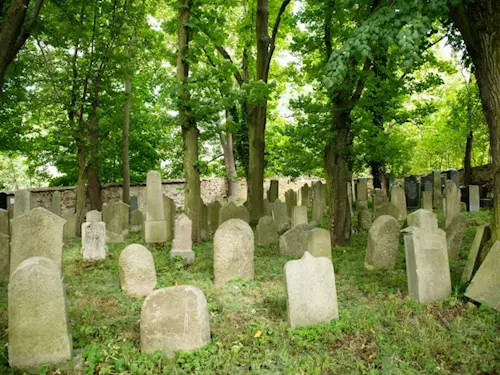 Židovský hřbitov v Tachově
