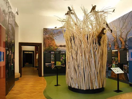 Muzeum Vysočiny Třebíč – expozice na třebíčském zámku