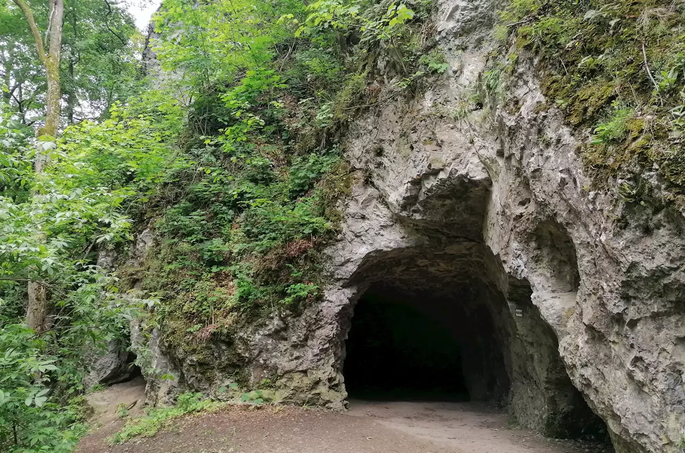 Zázrak v Moravském krasu: v jeskyni Jáchymka zahnízdili sokoli – místo je pro turisty uzavřeno