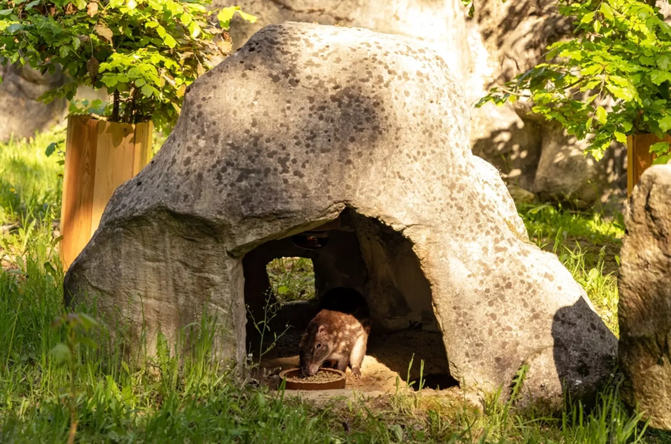 Zoo Liberec je nejstarší v zemi – v roce 2024 slaví již 120. narozeniny