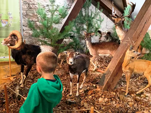 Regionální muzeum Mělník – historické kočárky, hračky a regionální historie