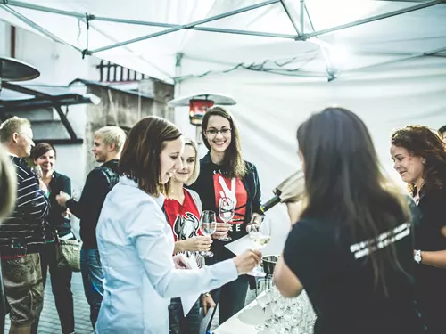Neřízená a neomezená degustace 