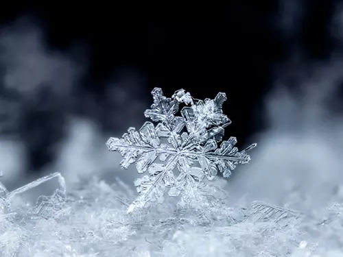 Tipy na zimní fotografování v přírodě i ve městech