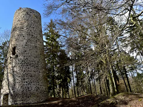 Zřícenina hradu Volfštejn u Černošína