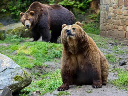 Zoo Děčín odmění školáky za celoroční snahu vstupem zdarma