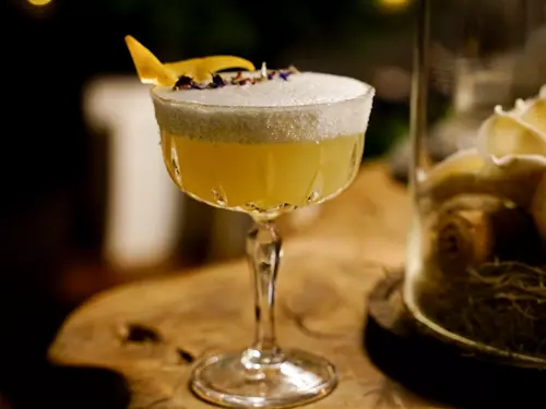 Žlutá ponorka – první skutečný koktejlový bar na jihu Čech