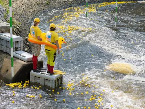 Pusťte kačky na vodu: V Českých Budějovicích se opět chystá závod plastových kachniček