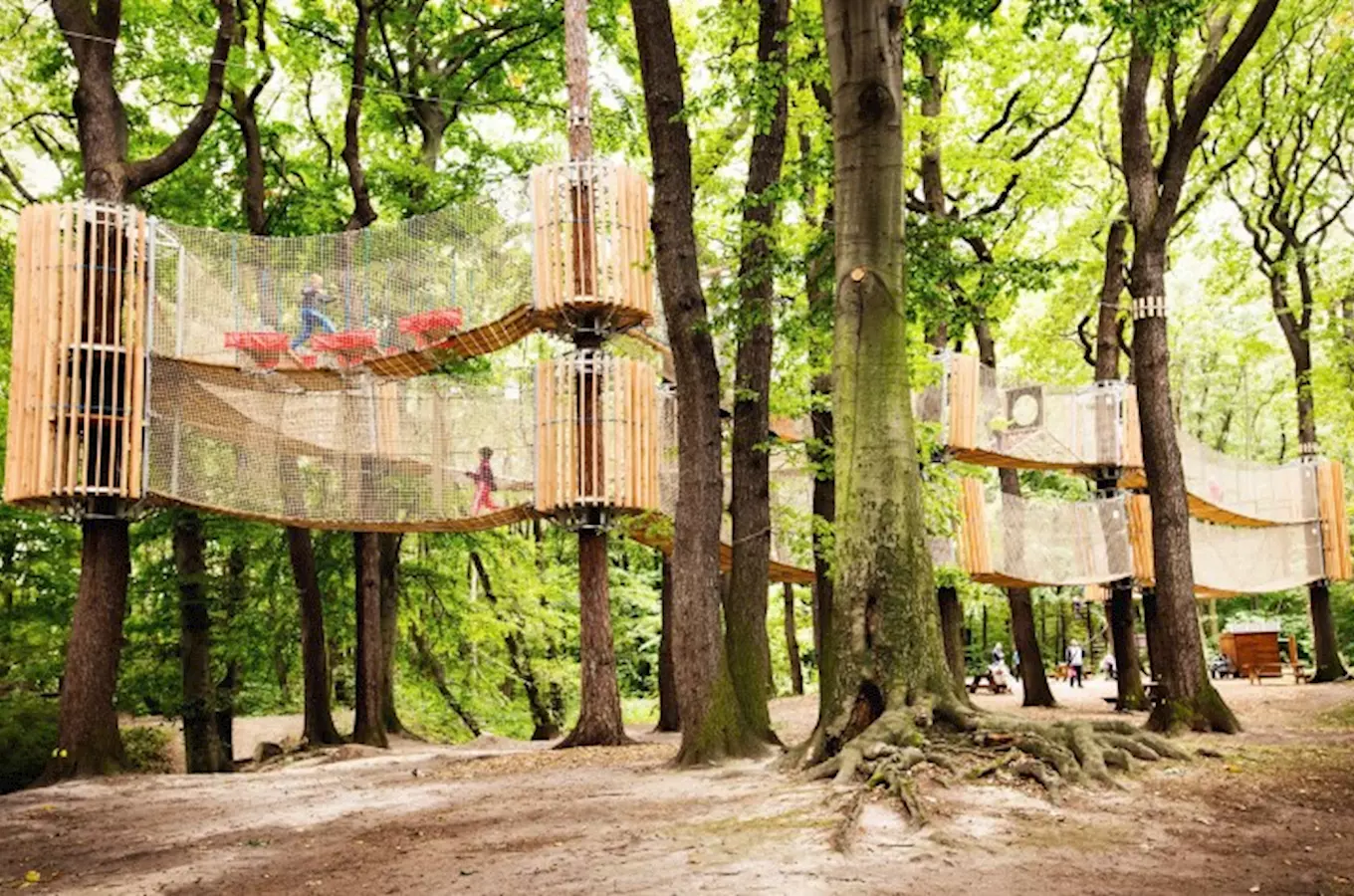 3D bludiště v korunách stromů v Oseku