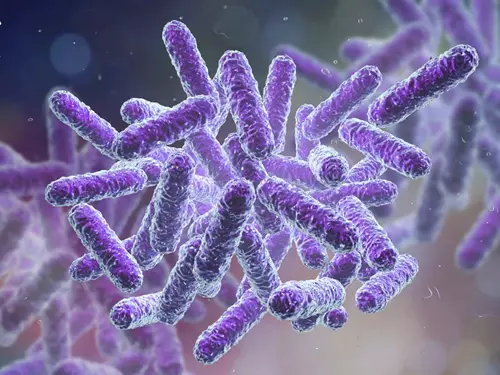 Mikrobiom a my – Mikroorganismy kolem nás 