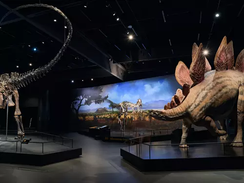 Dinosauria Museum Prague – Dinosauria Praha