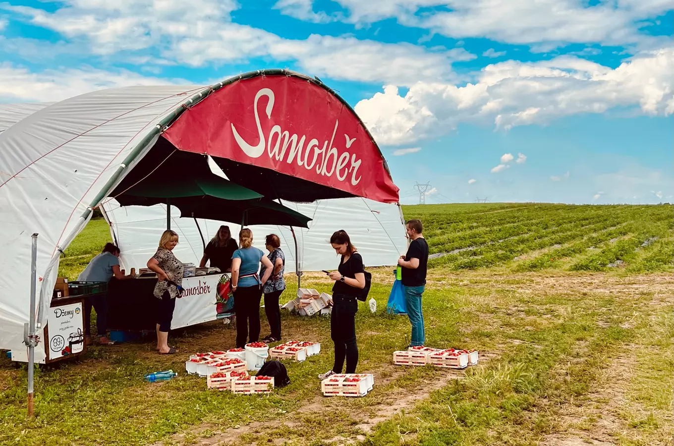 Berry servis Nová Ves II – jahody, maliny a ostružiny nejen jako samosběr