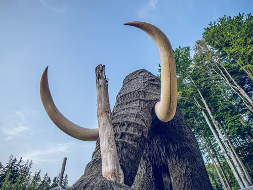 Obří mamut na Dolní Moravě