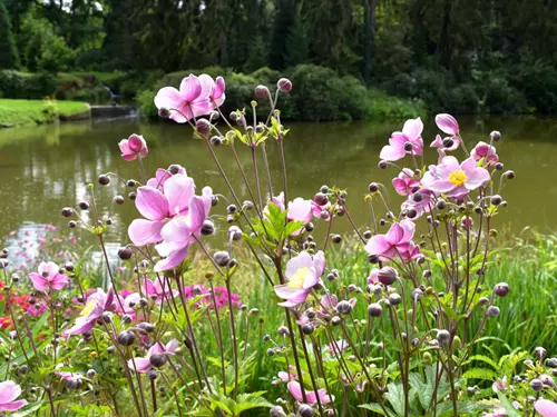 Průhonický park – zahrady s puncem UNESCO