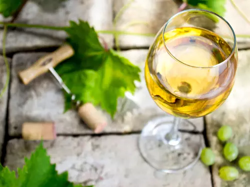 Nejlepším vínem České republiky 2021 je Pinot blanc z vinařství Thaya z Hnanic u Znojma