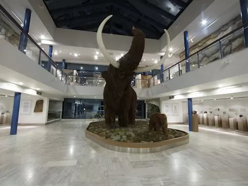 Cesta do pravěku v Brně – pavilon Anthropos a rekonstrukce mamuta