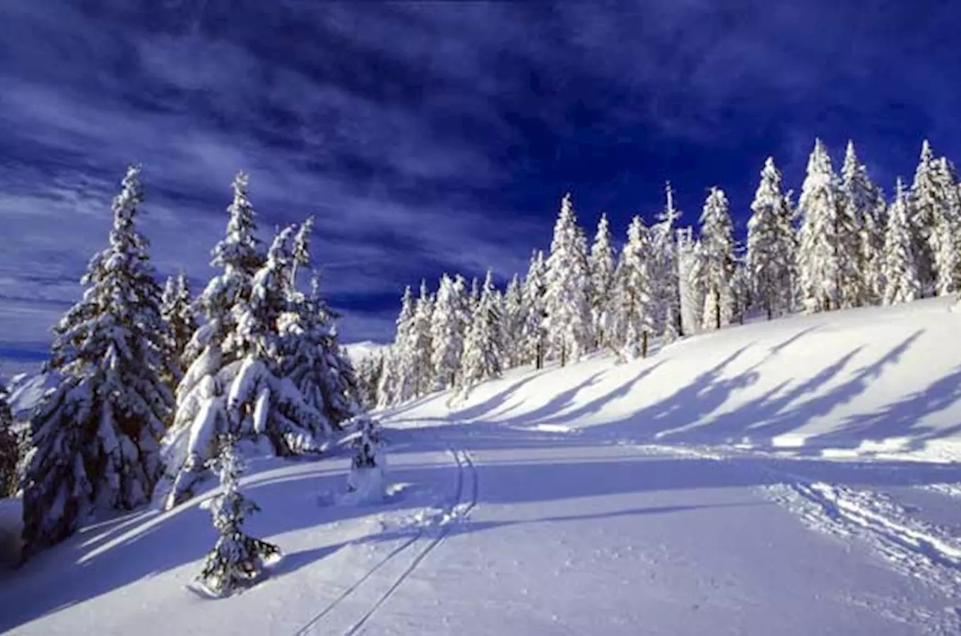 Krkonoše – lyžařský běžecký ráj