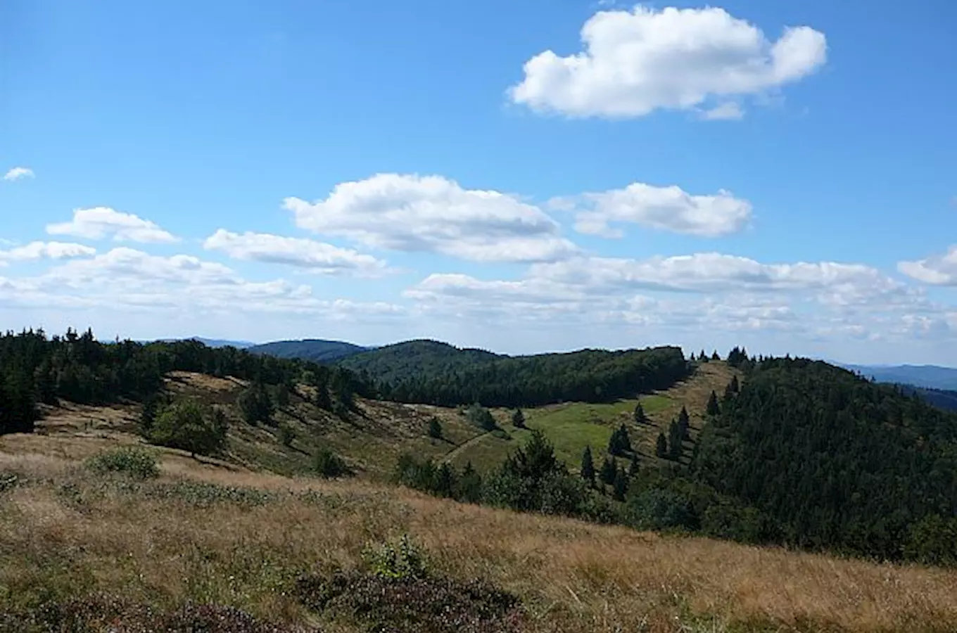 Velký Polom – významný hraniční vrchol 