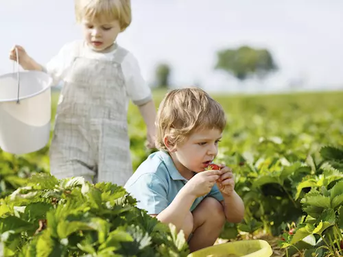 Farmárské slavnosti odstartují v Hustopecích nad Becvou