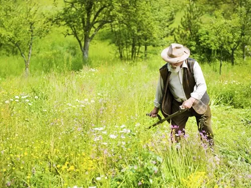 Tradiční kosení bělokarpatských luk ve Valašských Kloboukách