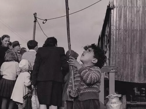 Romové a cirkus