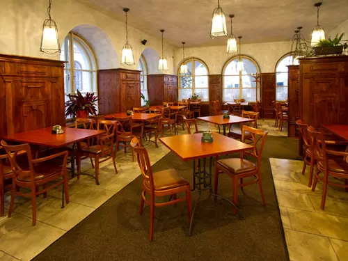 Restaurace Bílý koníček v Třeboni
