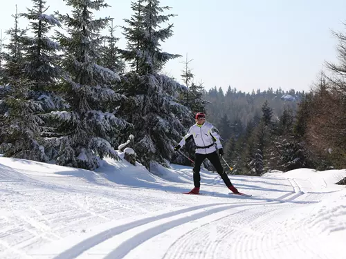Cesta Terex – lyžařská i cyklotrasa v Harrachově
