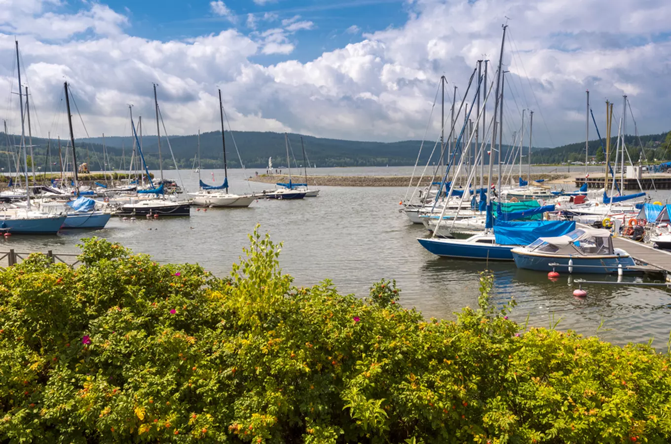 Lipno se probouzí do jara