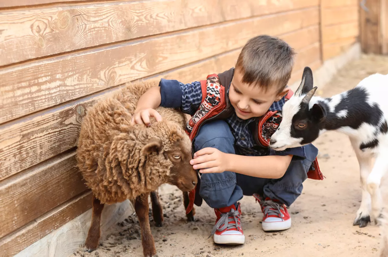 Poznejte zvířátka zblízka: 10 tipů, kam s dětmi do minizoo či zooparku