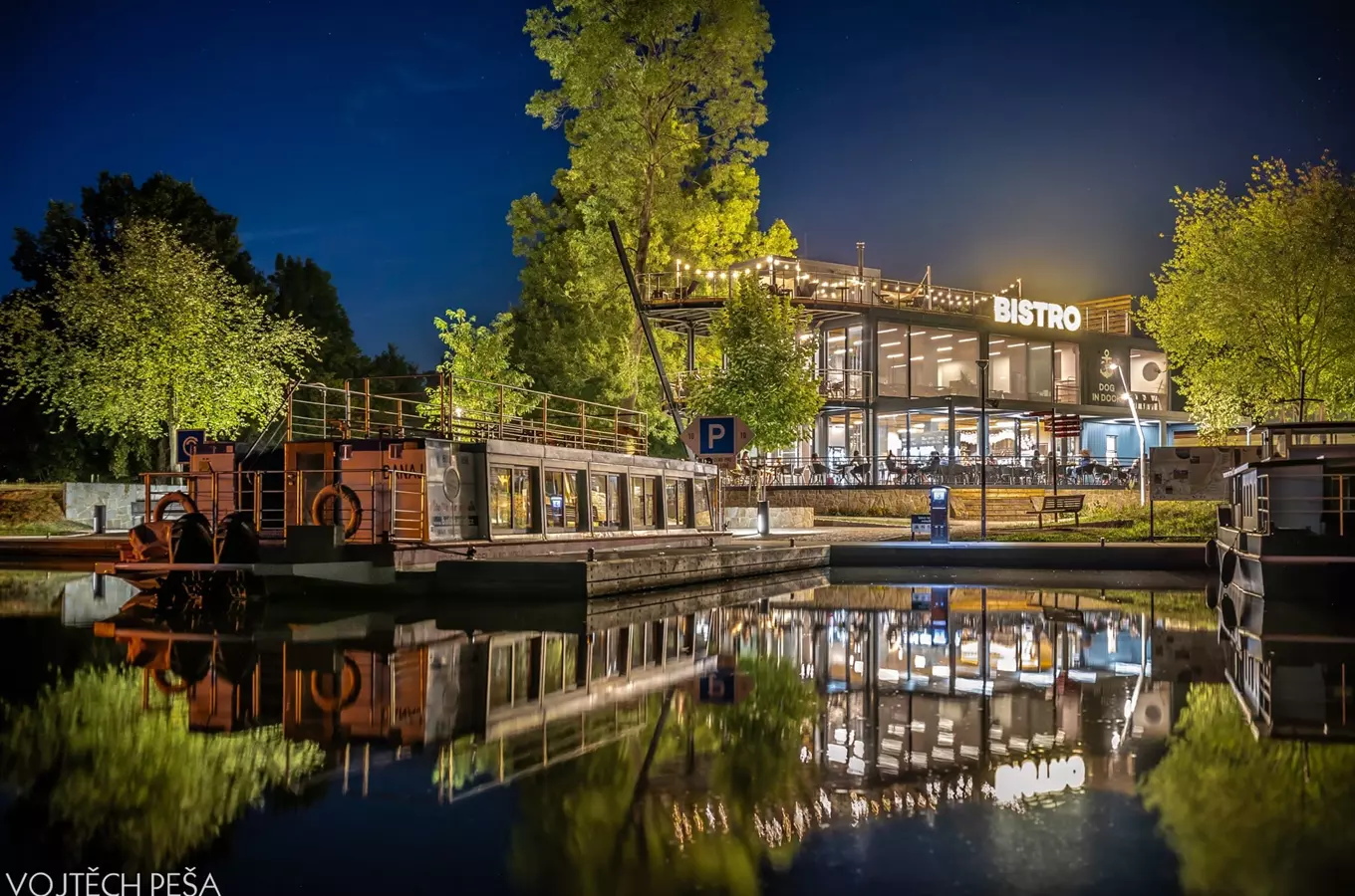 Bistro Dog in Dock