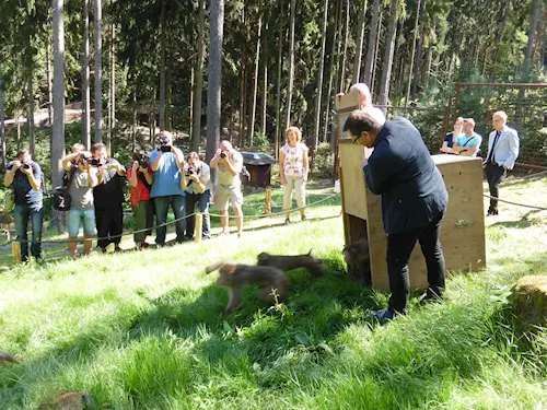 Přírodním výběhem makaků se můžete projít nově v Zoo Olomouc