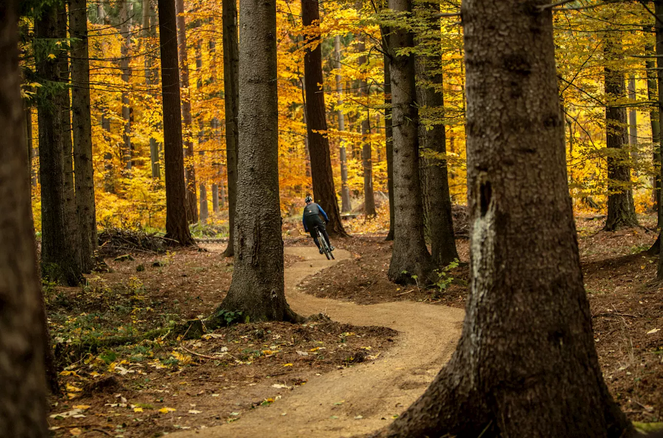 Singletrail Moravský kras – dočasně uzavřeno