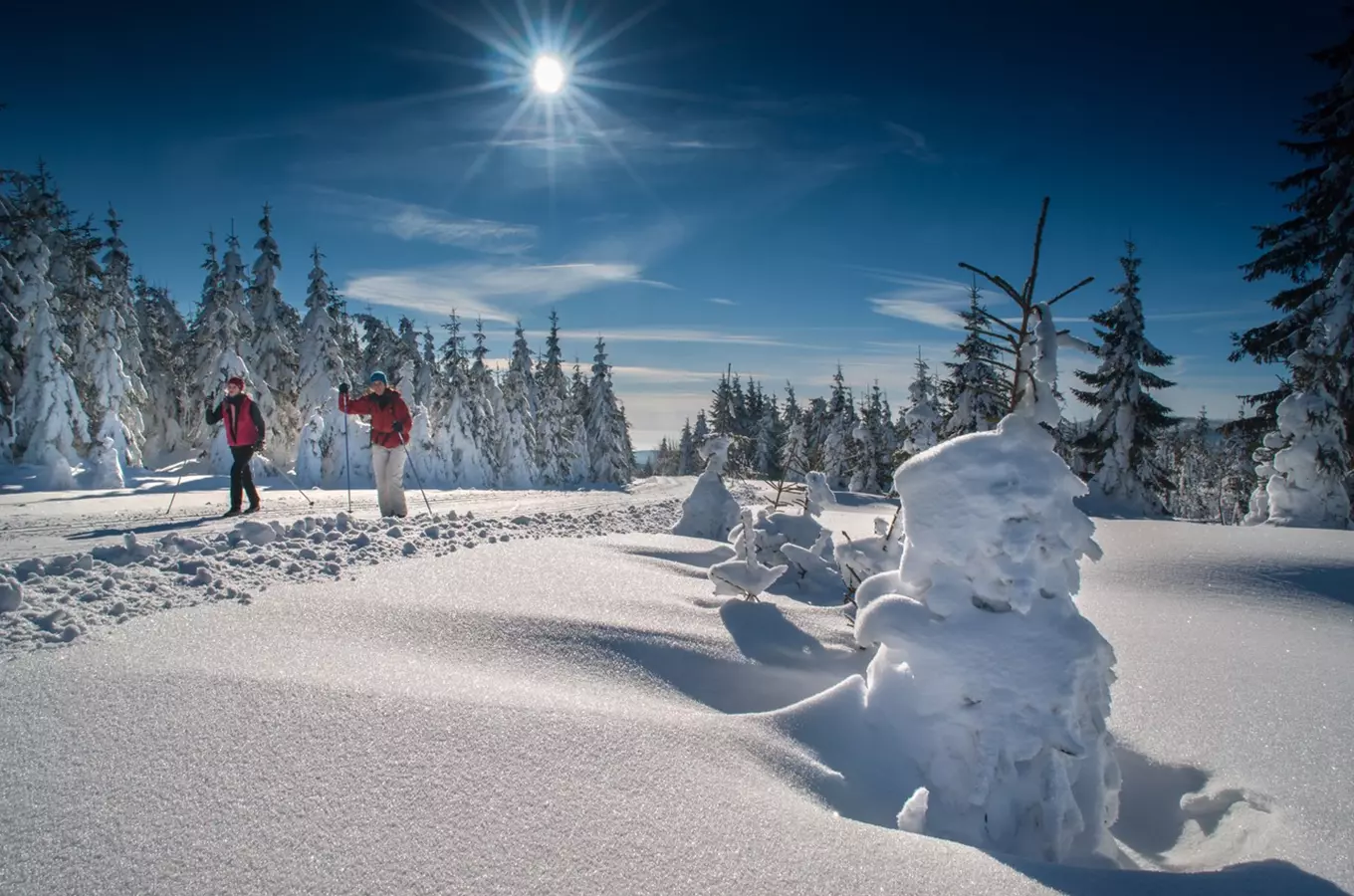 Kam se podívat na Šumavě? Poznejte nejkrásnější místa Národního parku Šumava