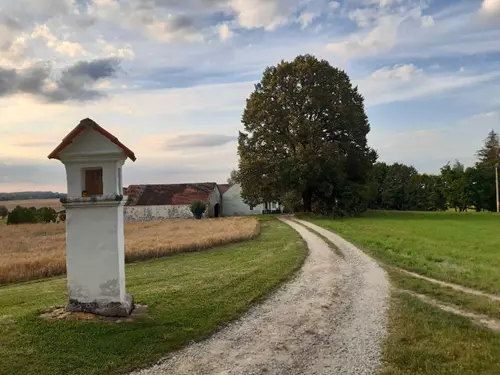 Trojiční lípa v Trhových Svinech
