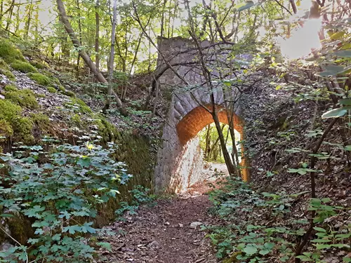 Stezkou koněpruských skalníků a vápeníků