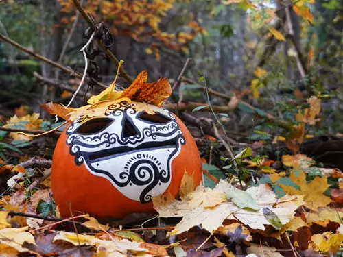 Trojskou botanickou zahradu rozzáří halloweenská světla