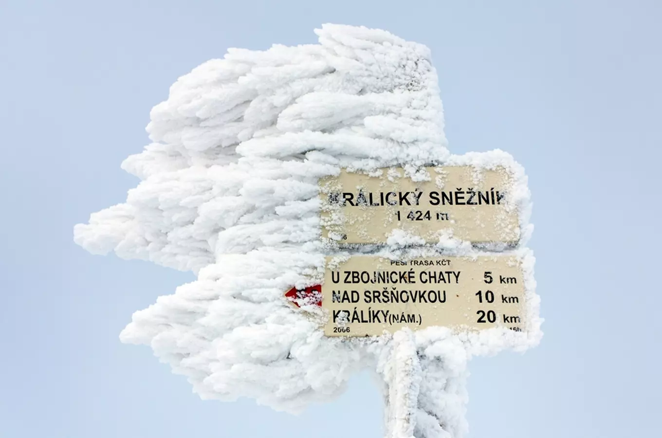Hora Králický Snežník