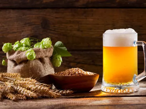 Chrám chmele a piva v Žatci zaháji v neděli sezónu 2019
