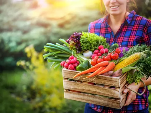 Velikonoční farmářské trhy ve Smiřicích