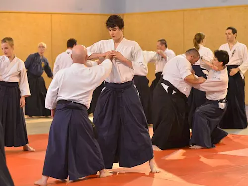 Aiki ju jutsu 1