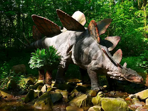 Stegosaurus