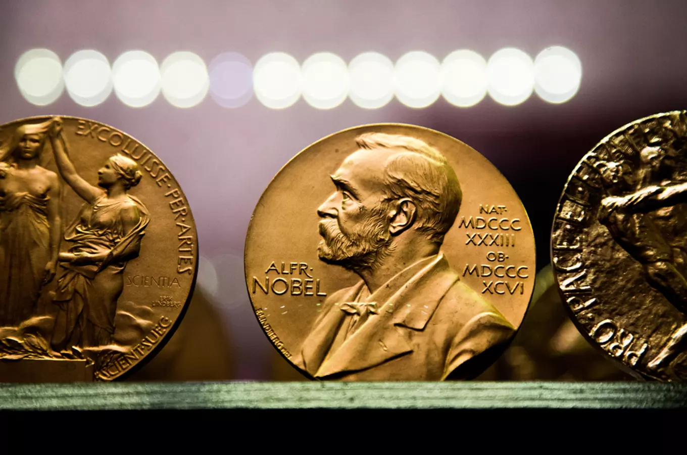 Věda a historie není nuda: Nobelovy ceny pro Česko, kdo je má a kdo je mohl mít?