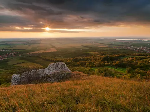 Stolová hora na Pálavě – nejbohatší lokalita šalvěje etiopské v Česku